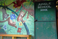 the jungle school