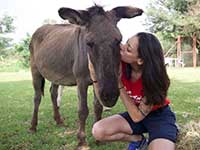 donkey rescue